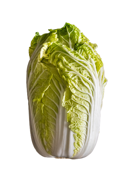 Chinakohl
